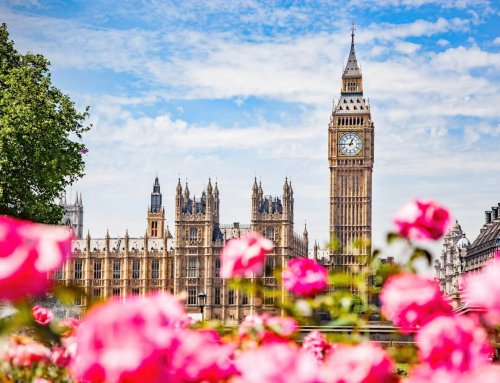 The Spring Forecast 2026